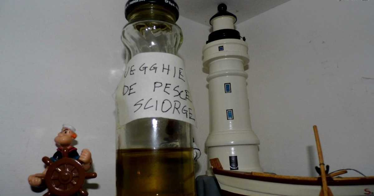 Taranto, il brutto "pesce sciorge": ma dal suo fegato si estrae un olio "miracoloso"